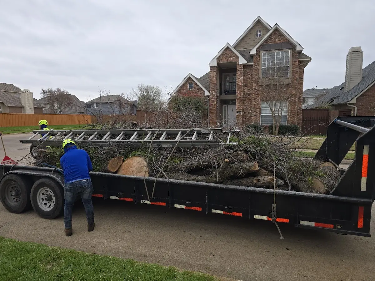 Expert Tree Fertilization with proper safety equipment in West Unity